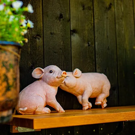 بيت شباب أولينسفانغ غجيستيهيم *