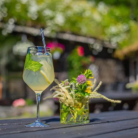 أولينسفانغ غجيستيهيم بيت شباب لوفتهوس