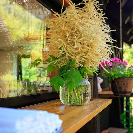 أولينسفانغ غجيستيهيم *