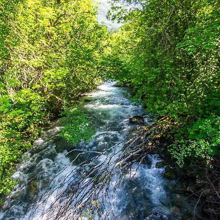 أولينسفانغ غجيستيهيم