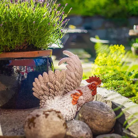 أولينسفانغ غجيستيهيم بيت شباب لوفتهوس