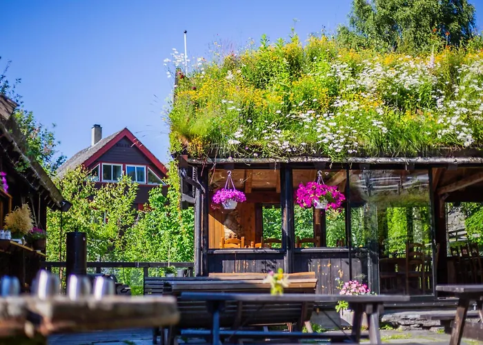 优伦斯王赫斯特海姆 *