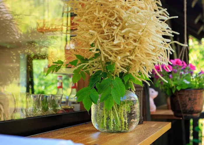 优伦斯王赫斯特海姆 *