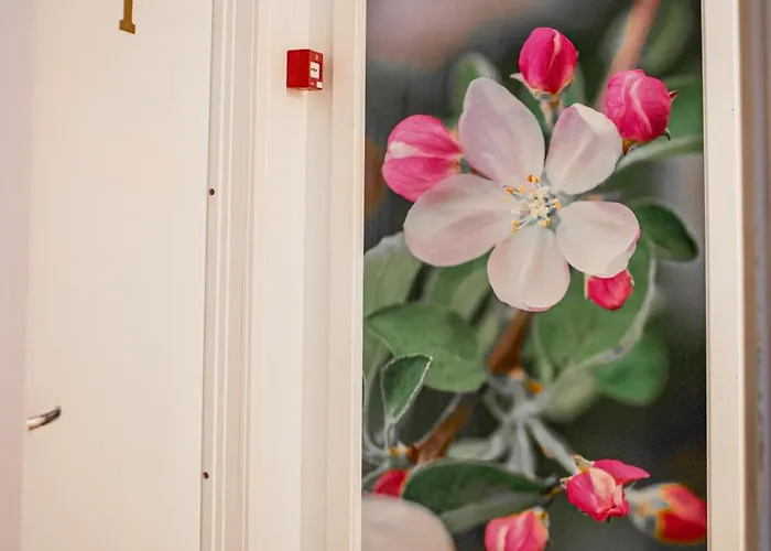 优伦斯王赫斯特海姆 *