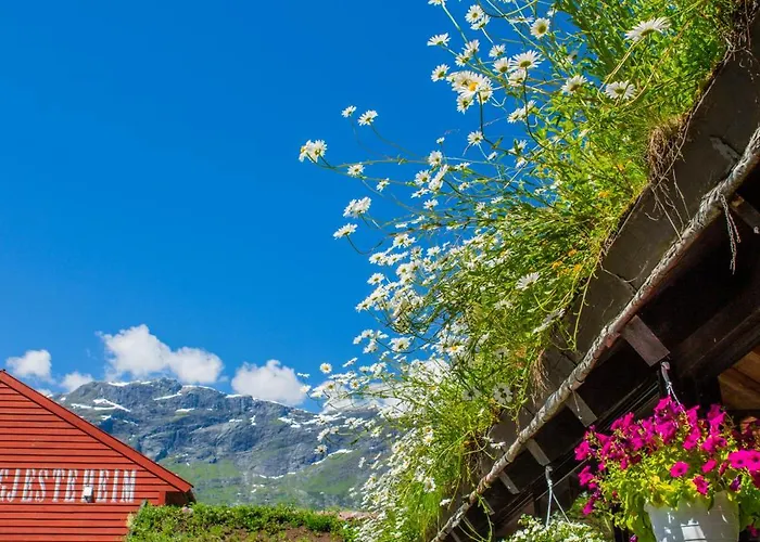 优伦斯王赫斯特海姆 * 洛夫特胡斯