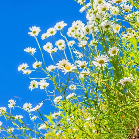 ウレンスヴァン ホステル *