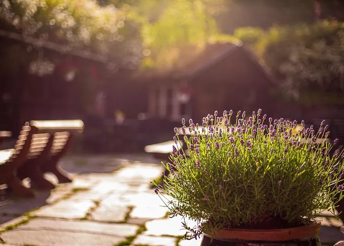 Ullensvang Gjesteheim אכסניה לופטוס